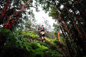 BIB: 
                            <button type="button" onclick="openModal(26201749)" class="btn btn-primary btn-sm float-right btn-popup" data-toggle="modal" data-target=".modal-high-quality">
                        <i class="fas fa-shopping-cart"></i> Add to Cart
                    </button>
                                            <button type="button" onclick="isThisMe(26201749, true)" class="btn btn-success btn-sm float-right btn-popup btn-isme hidden" data-toggle="tooltip" data-placement="bottom" title="นี่คือรูปของคุณใช่ไหม คลิกที่นี่เพื่อเอาเข้าอัลบั้ม">
                        <i class="fas fa-plus"></i> Add to album
                    </button>
                    <button type="button" onclick="isThisMe(26201749, false)" class="btn btn-warning btn-sm float-right btn-popup btn-isnotme hidden">
                        <i class="fas fa-ban"></i> Remove from album
                    </button>